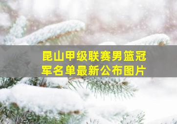 昆山甲级联赛男篮冠军名单最新公布图片