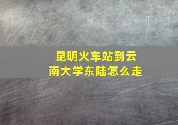 昆明火车站到云南大学东陆怎么走