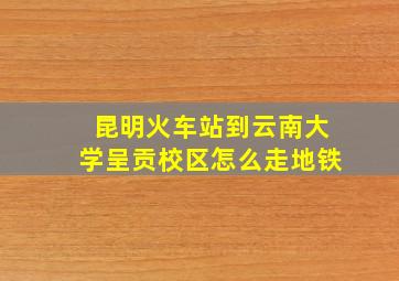 昆明火车站到云南大学呈贡校区怎么走地铁