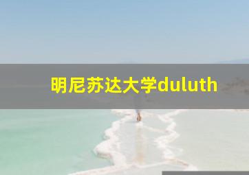 明尼苏达大学duluth