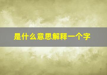 是什么意思解释一个字