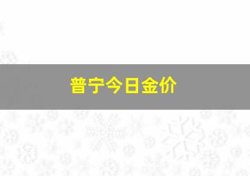 普宁今日金价