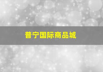 普宁国际商品城