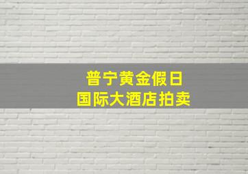 普宁黄金假日国际大酒店拍卖