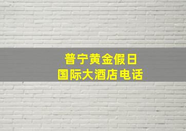 普宁黄金假日国际大酒店电话