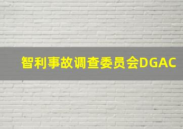 智利事故调查委员会DGAC