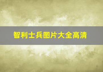 智利士兵图片大全高清