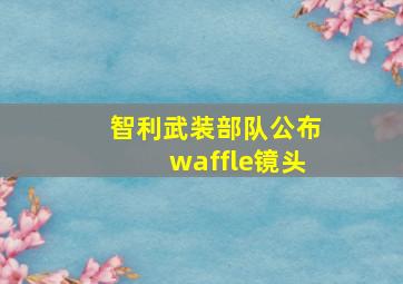 智利武装部队公布waffle镜头