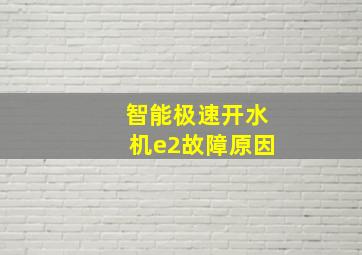 智能极速开水机e2故障原因