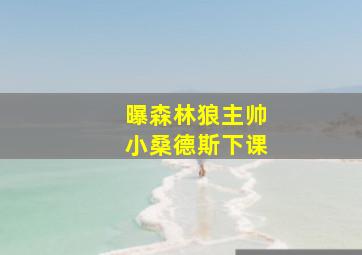 曝森林狼主帅小桑德斯下课