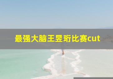 最强大脑王昱珩比赛cut