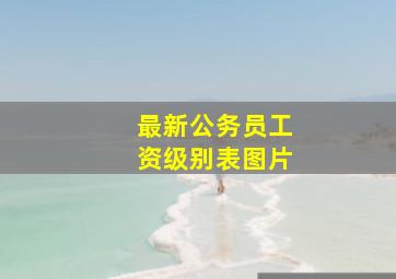 最新公务员工资级别表图片