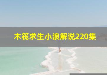 木筏求生小浪解说220集