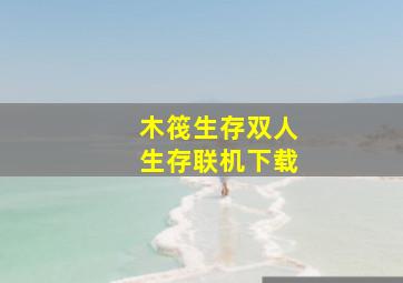 木筏生存双人生存联机下载