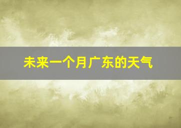 未来一个月广东的天气