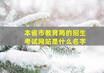 本省市教育局的招生考试网站是什么名字