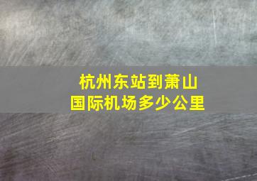 杭州东站到萧山国际机场多少公里