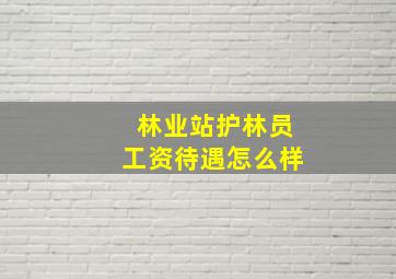 林业站护林员工资待遇怎么样