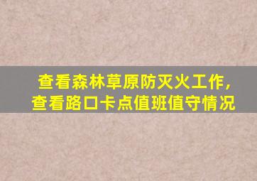 查看森林草原防灭火工作,查看路口卡点值班值守情况