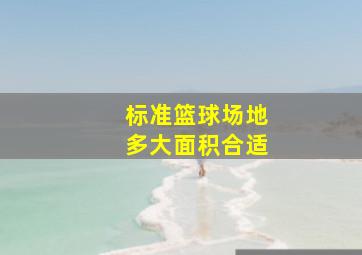 标准篮球场地多大面积合适