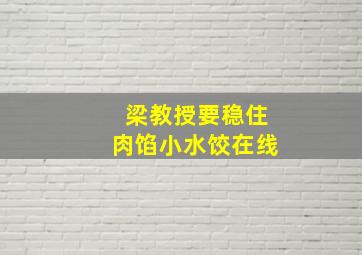 梁教授要稳住肉馅小水饺在线