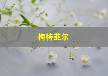 梅特菲尔