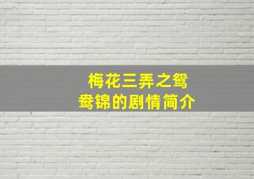 梅花三弄之鸳鸯锦的剧情简介