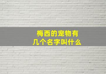 梅西的宠物有几个名字叫什么