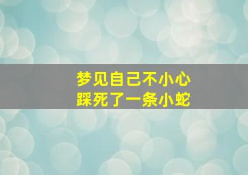 梦见自己不小心踩死了一条小蛇