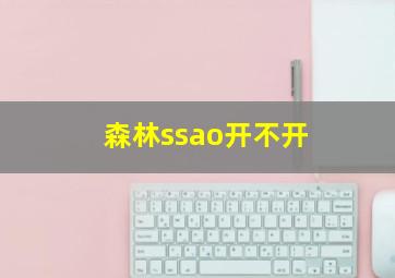 森林ssao开不开