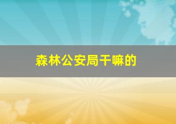 森林公安局干嘛的