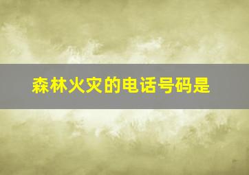 森林火灾的电话号码是