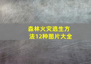 森林火灾逃生方法12种图片大全