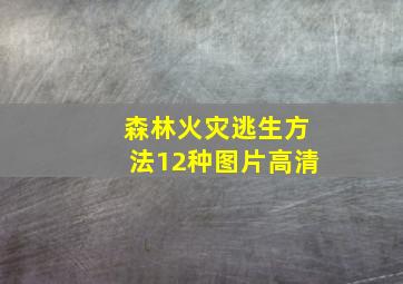 森林火灾逃生方法12种图片高清