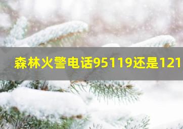 森林火警电话95119还是12119