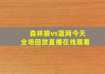 森林狼vs篮网今天全场回放直播在线观看