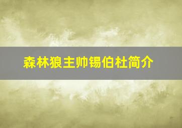 森林狼主帅锡伯杜简介