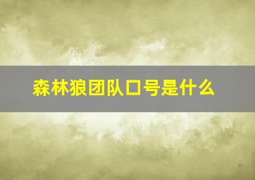 森林狼团队口号是什么