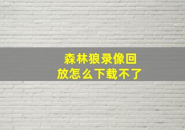 森林狼录像回放怎么下载不了