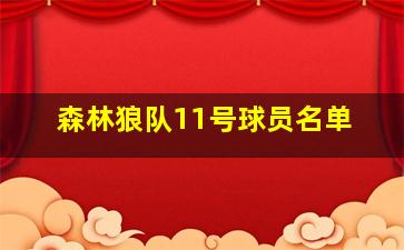 森林狼队11号球员名单