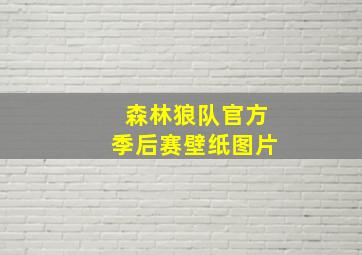 森林狼队官方季后赛壁纸图片