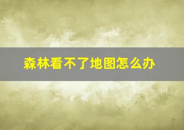 森林看不了地图怎么办