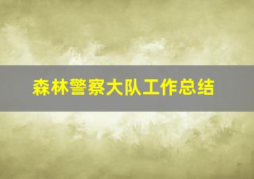 森林警察大队工作总结