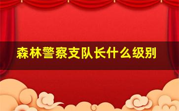 森林警察支队长什么级别