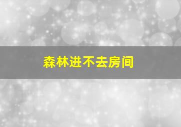 森林进不去房间