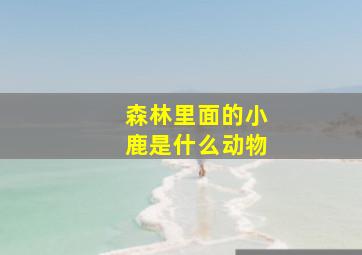 森林里面的小鹿是什么动物