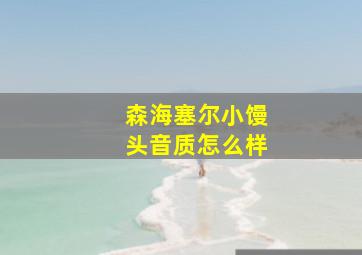 森海塞尔小馒头音质怎么样