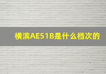 横滨AE51B是什么档次的