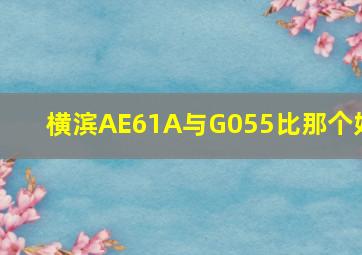 横滨AE61A与G055比那个好