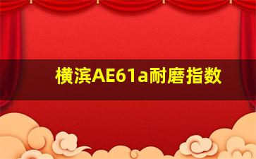 横滨AE61a耐磨指数